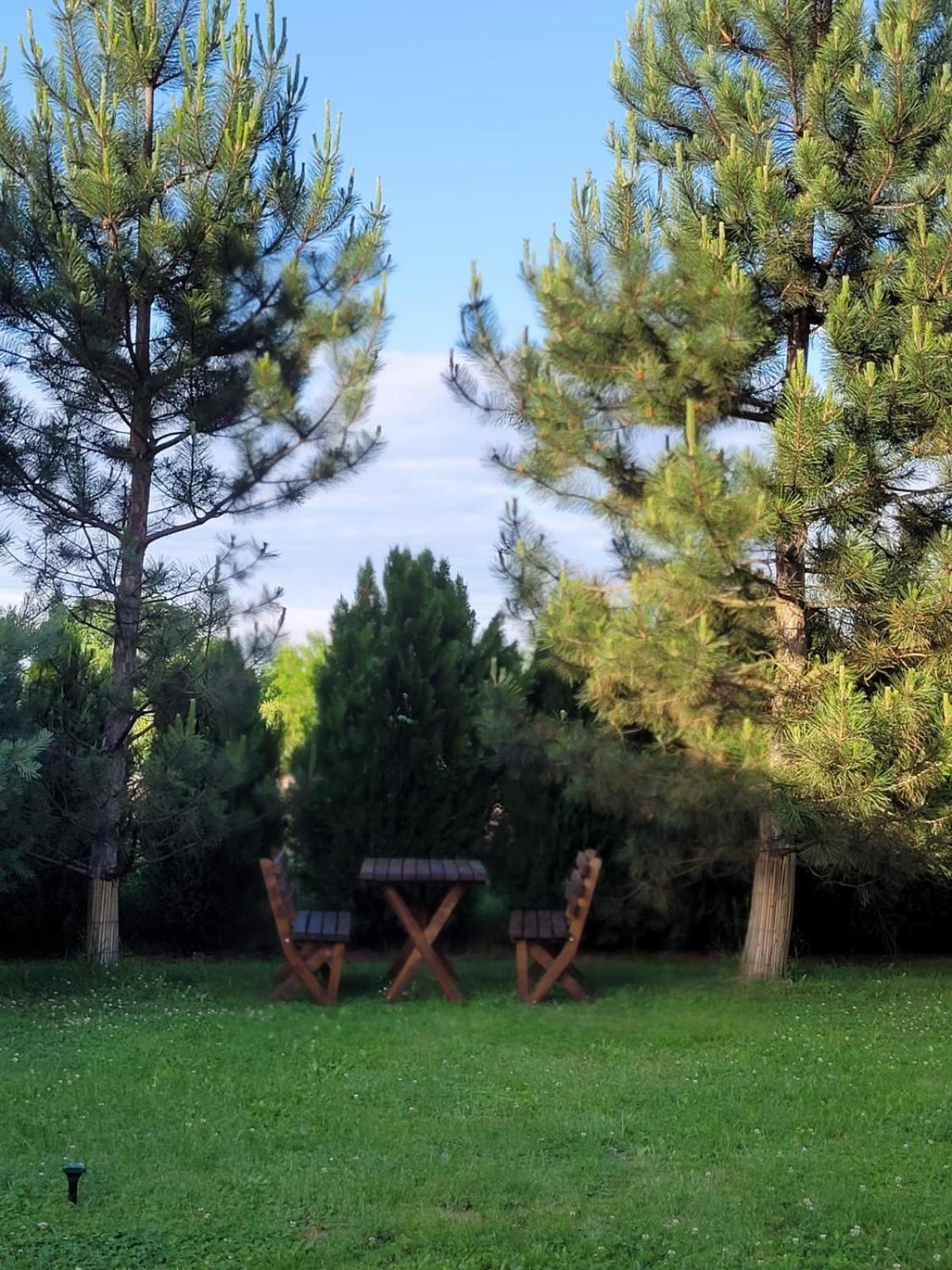 Hanul Lui Bogdan Economy Inn Făget 외부 사진